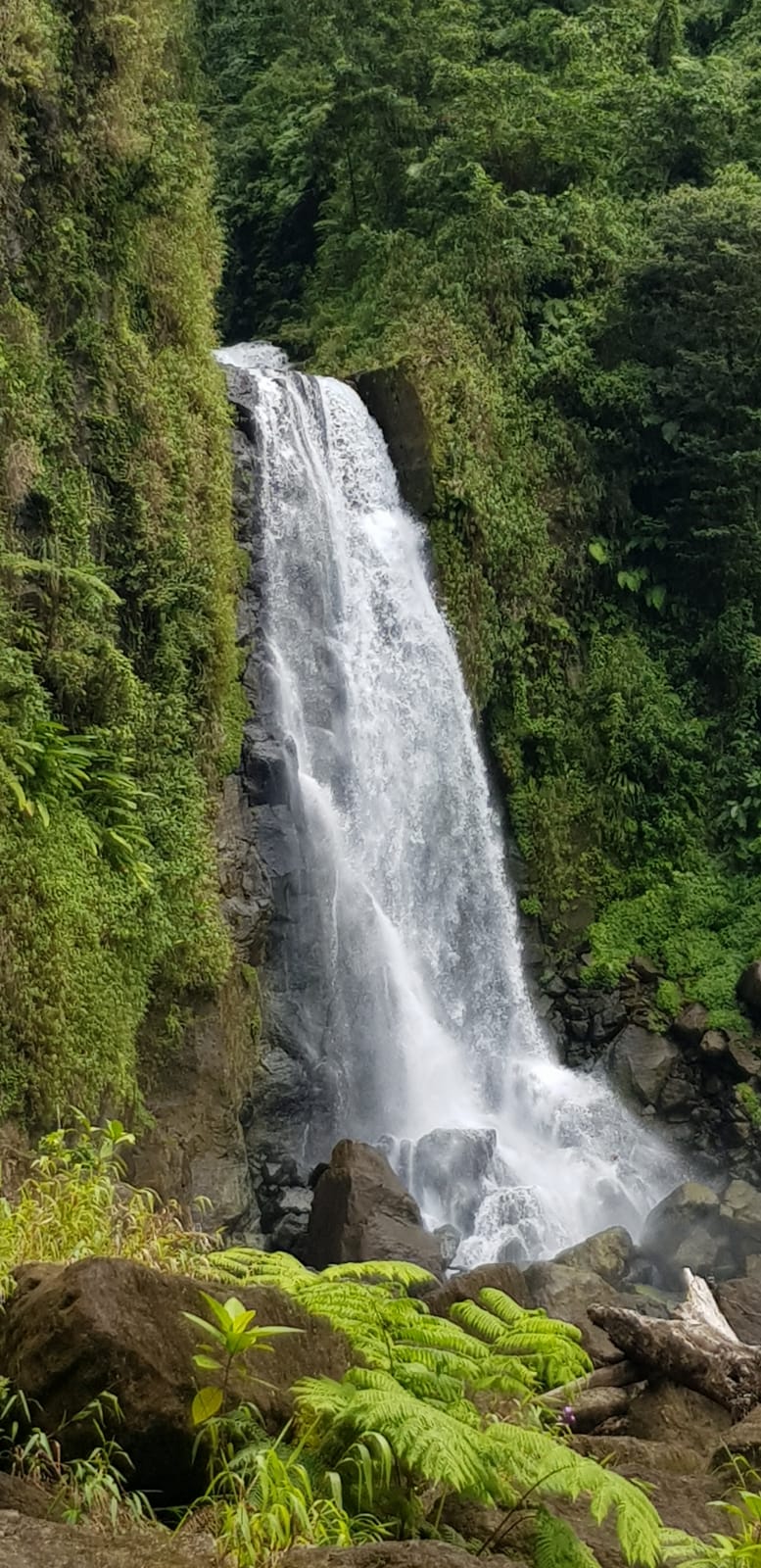Guadeloupe waterfalls